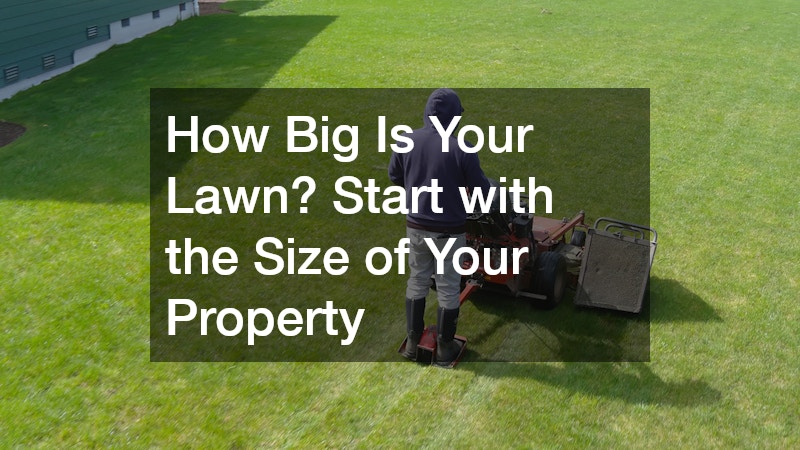a big lawn