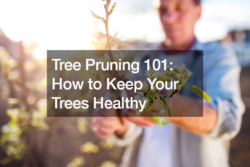 Tree Pruning 101 How to Keep Your Trees Healthy