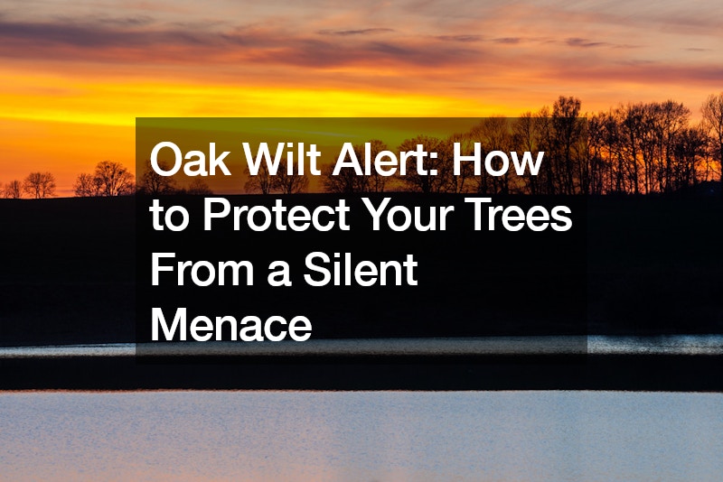 Oak Wilt Alert: How to Protect Your Trees From a Silent Menace