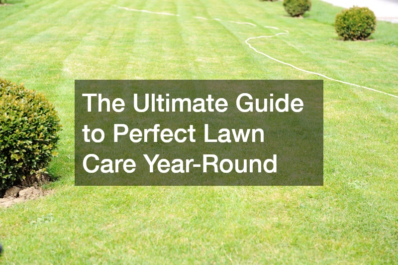 beautiful lawn